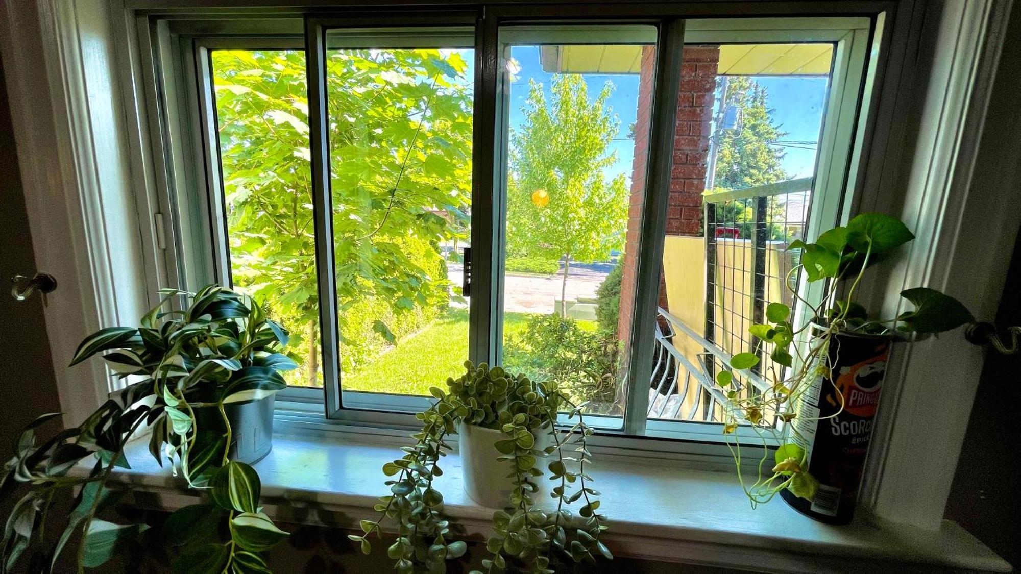 Glengrove Cozy Home 토론토 외부 사진